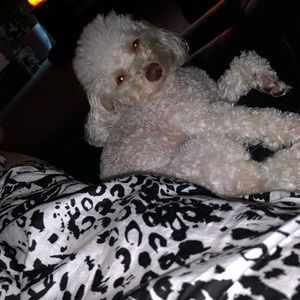 Meet your Posher, Lynette